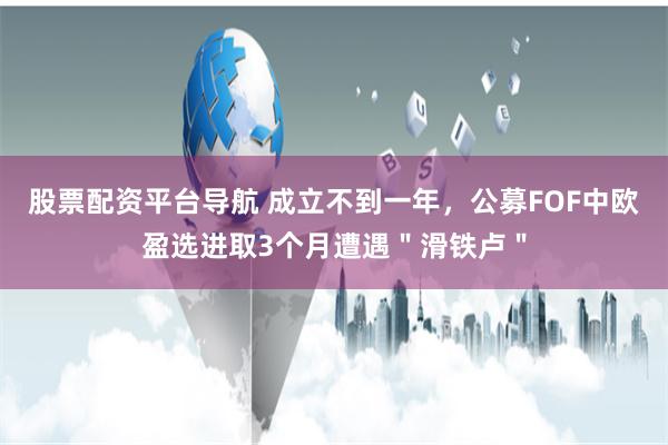 股票配资平台导航 成立不到一年，公募FOF中欧盈选进取3个月遭遇＂滑铁卢＂