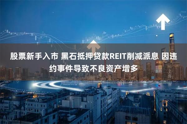 股票新手入市 黑石抵押贷款REIT削减派息 因违约事件导致不良资产增多