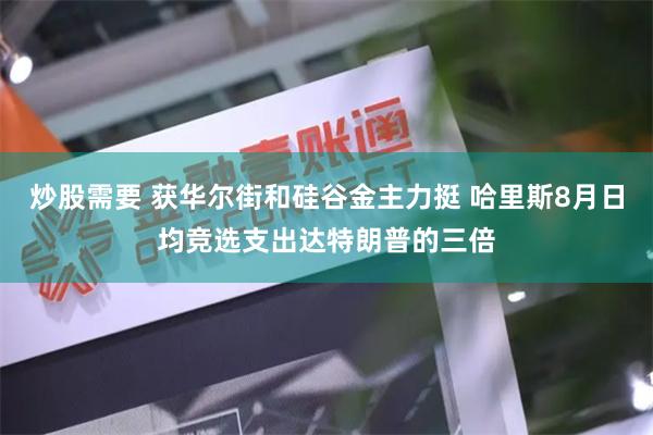 炒股需要 获华尔街和硅谷金主力挺 哈里斯8月日均竞选支出达特朗普的三倍