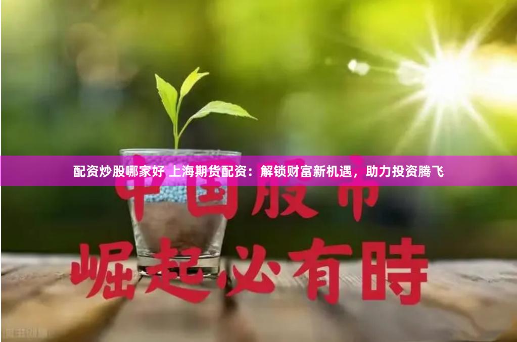 配资炒股哪家好 上海期货配资：解锁财富新机遇，助力投资腾飞